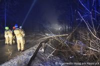 2017-02-03_Baum_ueber_Straße_L520_Reischau_01