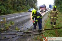 _2024-08-19_Baum_ber_Strae_B141_Pramwald_1