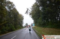 _2024-08-19_Baum_ber_Strae_B141_Pramwald_3