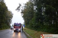 _2024-08-19_Baum_ber_Strae_B141_Pramwald_4
